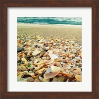 Framed Shells Beach II