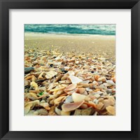 Framed Shells Beach II