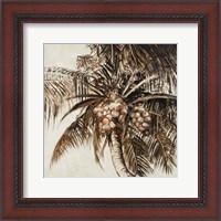 Framed Coconut Palm I
