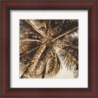 Framed Coconut Palm II