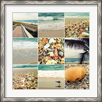 Framed Shell Beach (9 Patch)