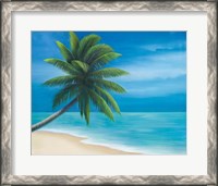 Framed Palm Beach I