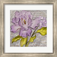 Framed Purple Florals II