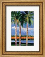 Framed Palm Coast