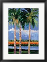 Framed Palm Coast