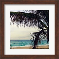 Framed Palm and Beach