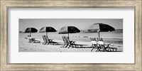 Framed Beach Reunion