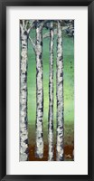 Framed Tall Trees II