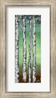 Framed Tall Trees II
