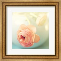 Framed Vintage Peony II