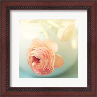 Framed Vintage Peony II