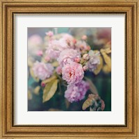 Framed Season of Blossoms