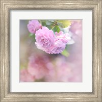 Framed Graceful Floral