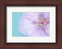 Framed Heart of a Flower