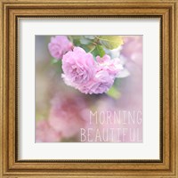 Framed Morning Beautiful