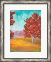 Framed Yellow Pasture