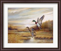 Framed Mallards