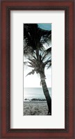 Framed Cool Bimini Palm I
