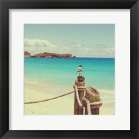 Island Vacation II Framed Print