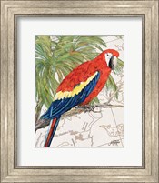 Framed Another Bird in Paradise I