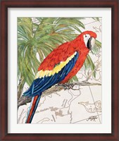 Framed Another Bird in Paradise I