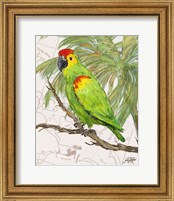 Framed 'Another Bird in Paradise II' border=
