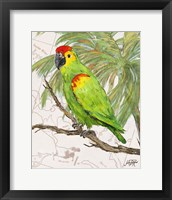 Framed 'Another Bird in Paradise II' border=