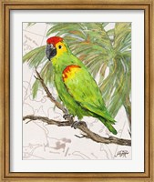 Framed Another Bird in Paradise II