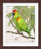 Framed Another Bird in Paradise II