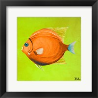 Framed Bright Aquatic Life II