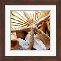 Framed Gold Starfish II