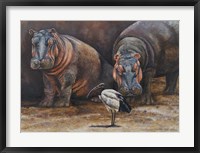 Framed Baby Hippos