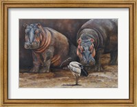 Framed Baby Hippos