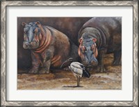 Framed Baby Hippos