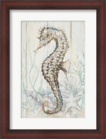 Framed Antique Sea Horse II