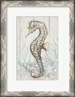 Framed Antique Sea Horse II