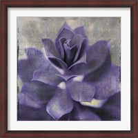 Framed Lavender Succulent I