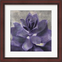 Framed Lavender Succulent I