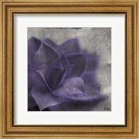 Framed Lavender Succulent II