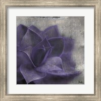 Framed Lavender Succulent II