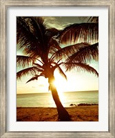Framed Bimini Sunset I