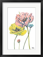 Framed Fresh Colored Poppies I