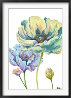 Fresh Colored Poppies II Framed Print
