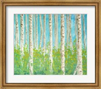 Framed Vibrant Birchwood