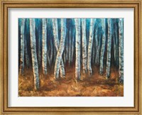 Framed Moonlit Birchwood
