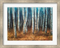 Framed Moonlit Birchwood