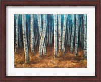 Framed Moonlit Birchwood