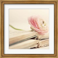 Framed Peony Books Square