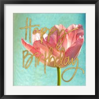 Framed Pink Tulip Birthday