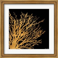 Framed Coastal Coral on Black II